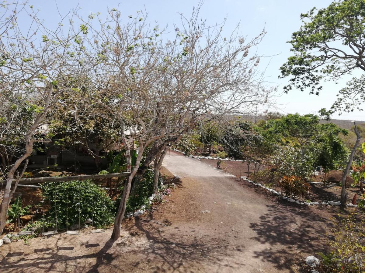 Cucuve Eco Hostal Puerto Baquerizo Moreno Eksteriør bilde