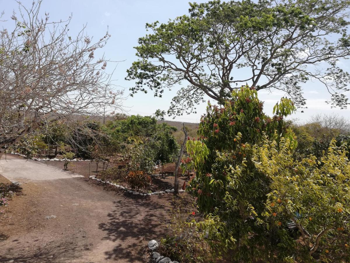Cucuve Eco Hostal Puerto Baquerizo Moreno Eksteriør bilde