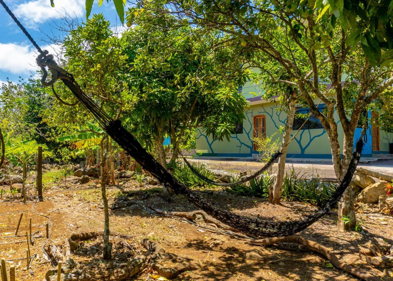 Cucuve Eco Hostal Puerto Baquerizo Moreno Eksteriør bilde