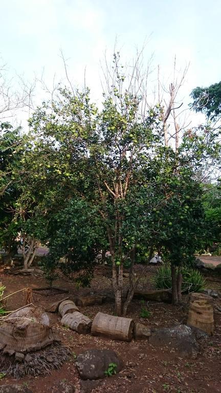 Cucuve Eco Hostal Puerto Baquerizo Moreno Eksteriør bilde