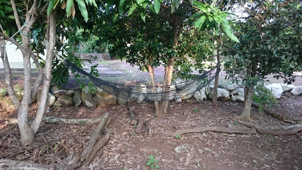 Cucuve Eco Hostal Puerto Baquerizo Moreno Eksteriør bilde