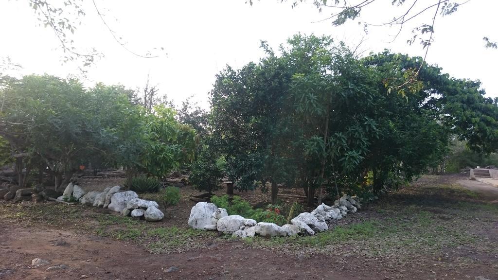 Cucuve Eco Hostal Puerto Baquerizo Moreno Eksteriør bilde