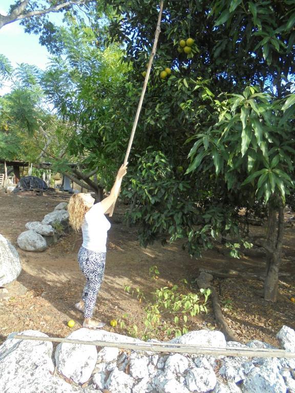 Cucuve Eco Hostal Puerto Baquerizo Moreno Eksteriør bilde